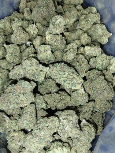 Customer photo review of Cheap THCA Flower Pound