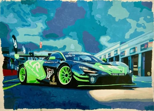 Customer photo review of Custom Landscape Paint By Numbers