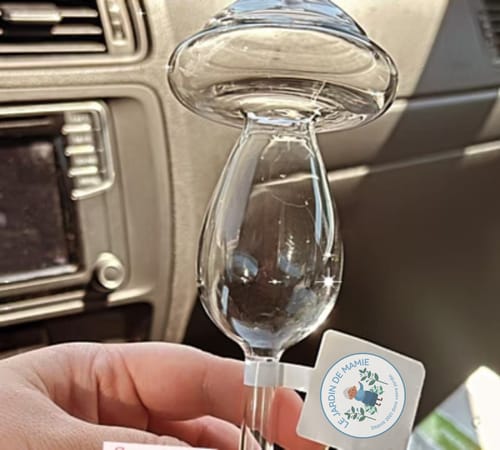 Customer photo review of Mon petit champi®