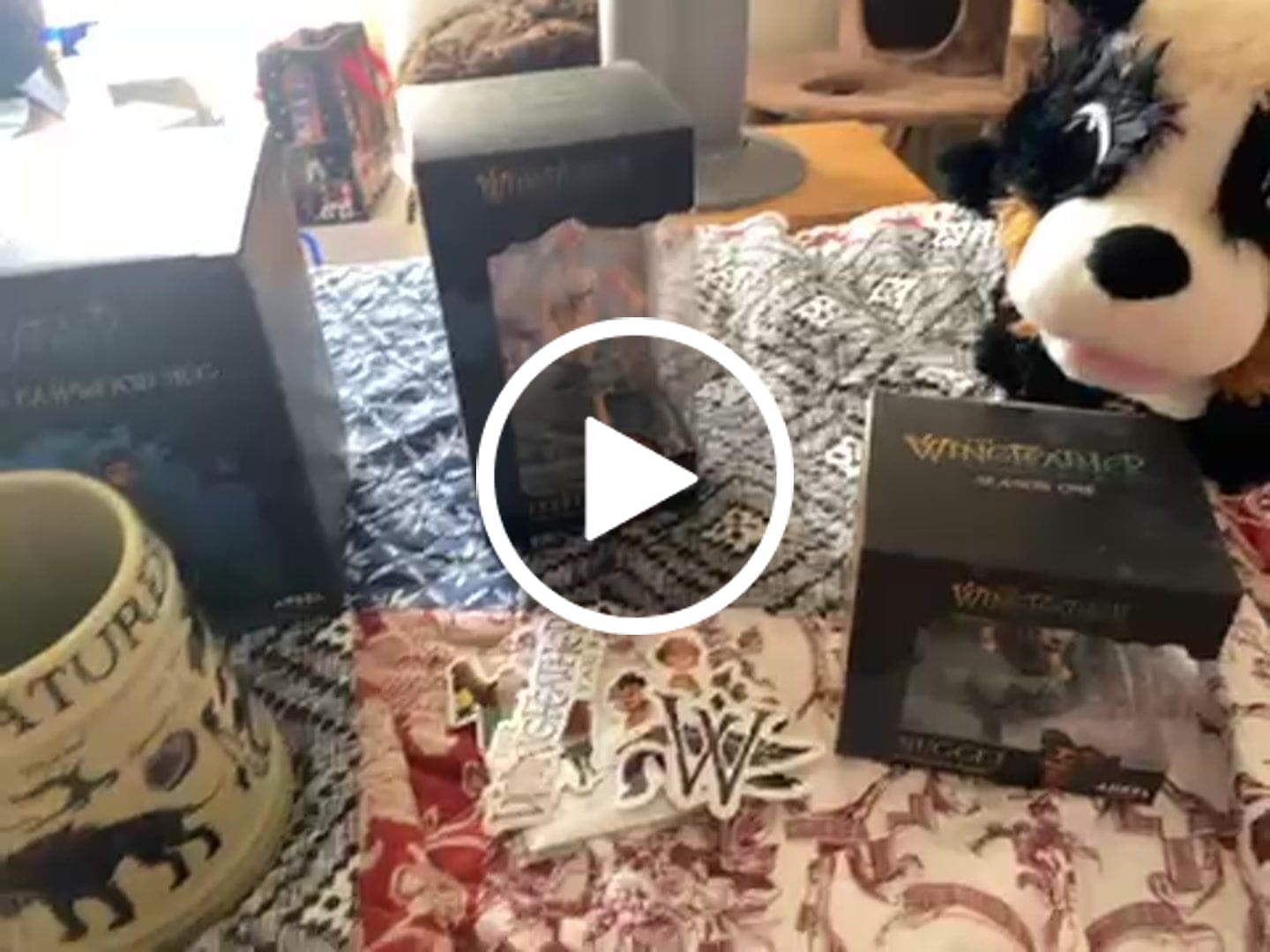 Customer video review of Nugget Plushie