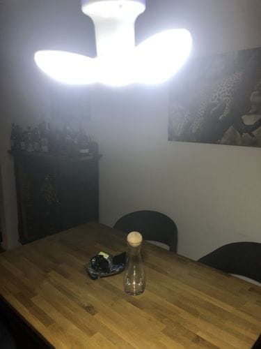 Customer photo review of Campinglampe | Polygon