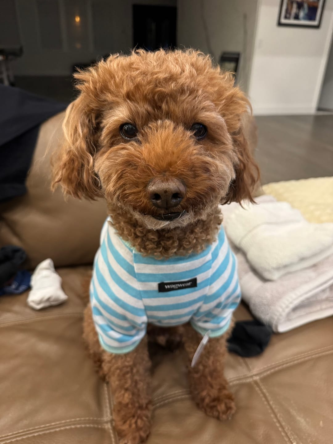 Customer photo review of Classic Stripe Tee (NEW)