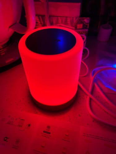Customer photo review of Friendship Lamp