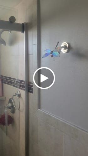 Customer video review of Dragonfly