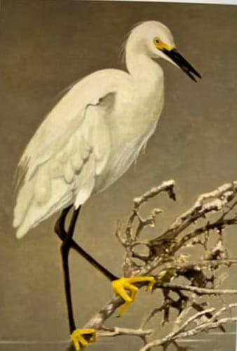 Customer photo review of Custom Pet Paint By Numbers