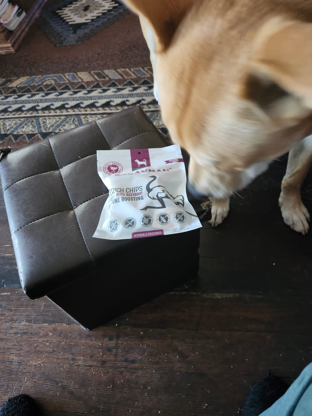 Customer photo review of Ostrich Chips with Beetroot (2.5oz): The Flavorful, Immune System Supporting Treat for Dogs
