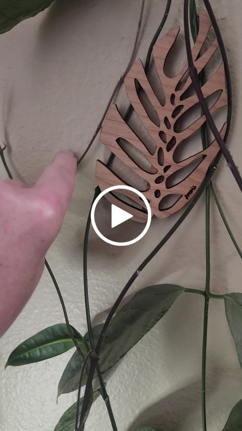 Customer video review of Palmella - Plant trellis inspired by the Palm Leaf