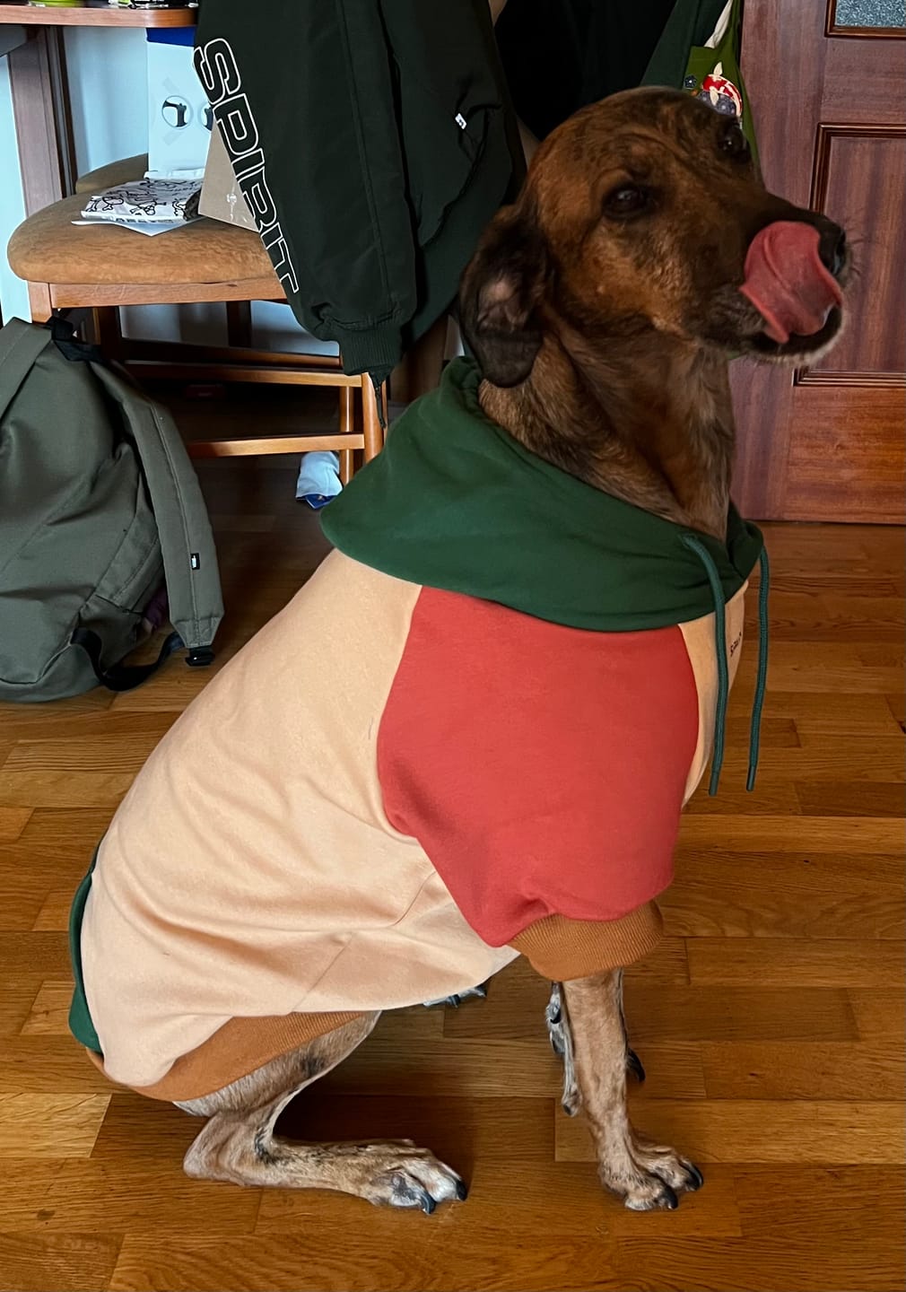 Customer photo review of Ranger Dog Hoodie