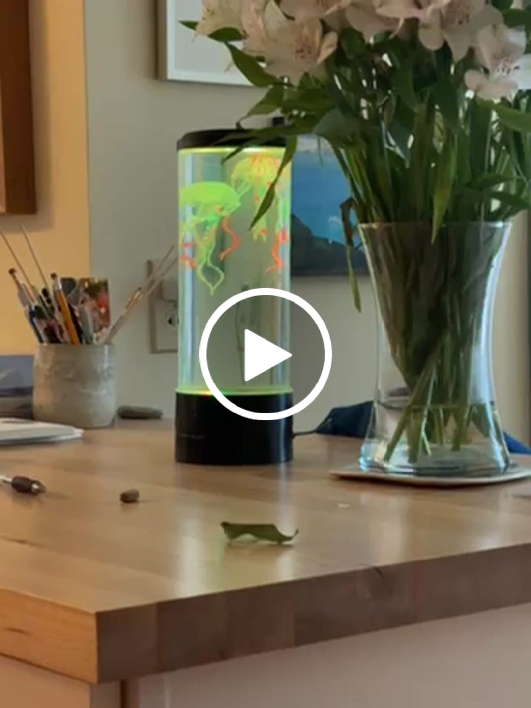 Customer video review of Classic JellyFish Lamp