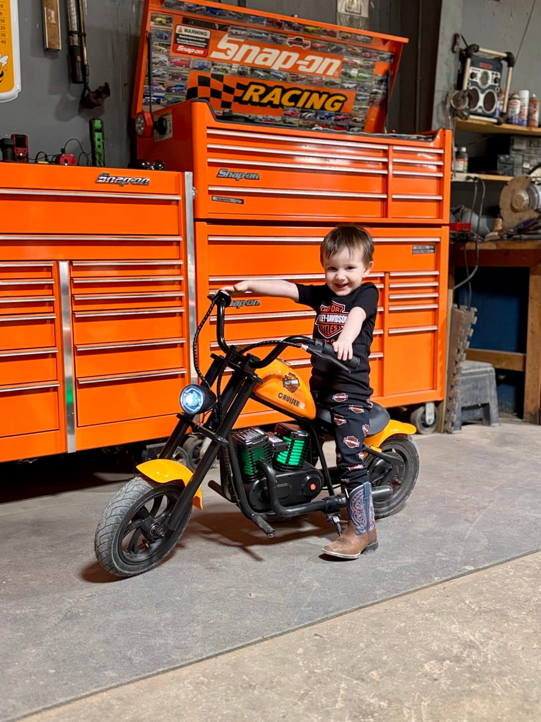 Customer photo review of Cruiser 12
