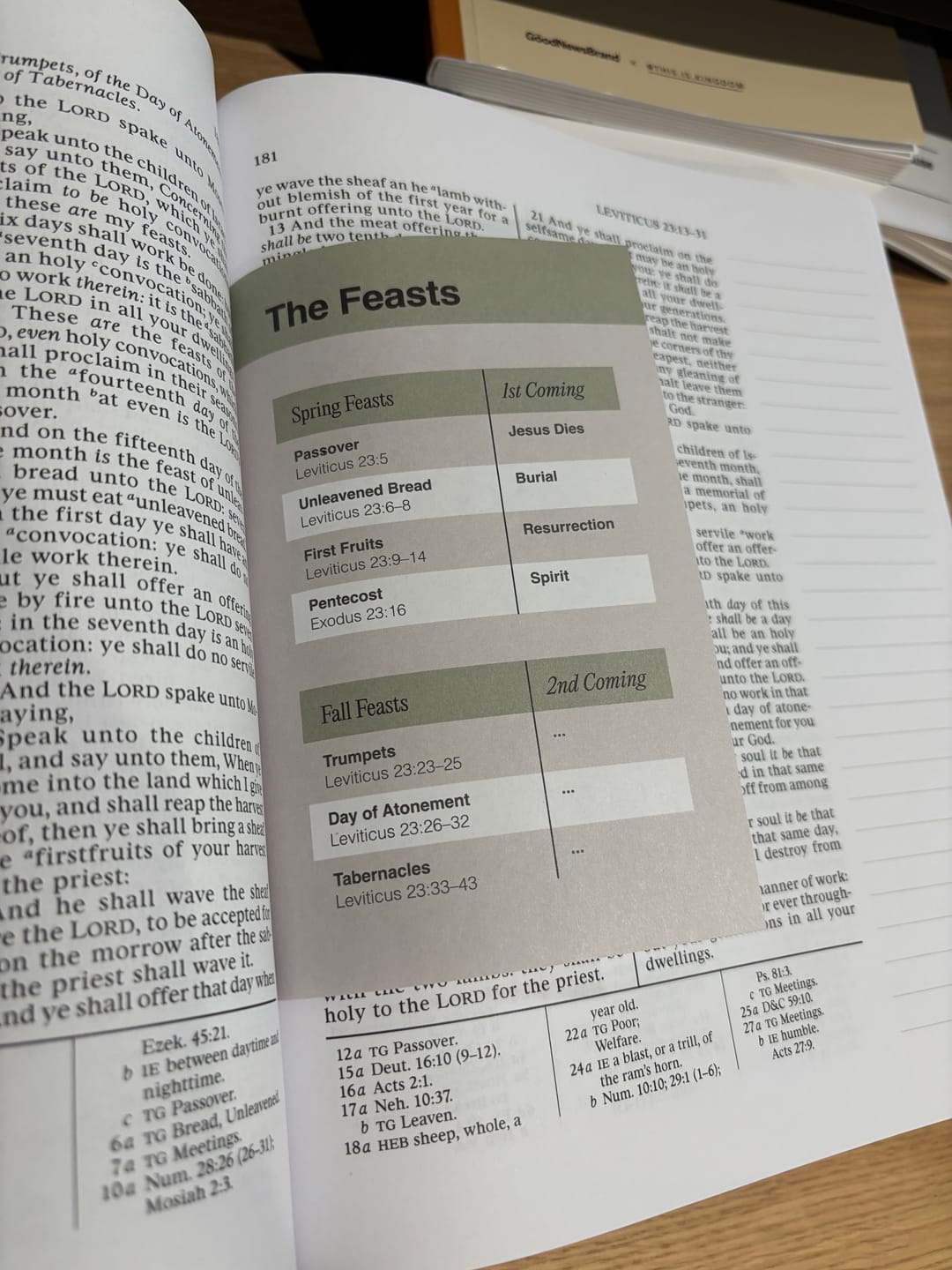 Customer photo review of Don't Miss This 2026 Old Testament Tip Ins