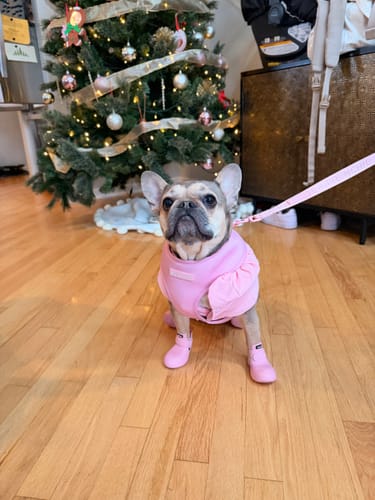 Customer photo review of WagWellies® by wagwear