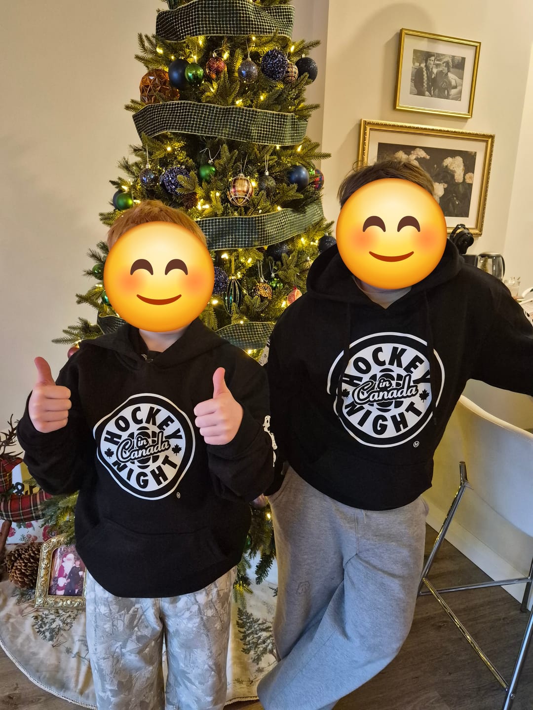 Customer photo review of Hockey Night in Canada Goalie Mask Evolution Hoodie