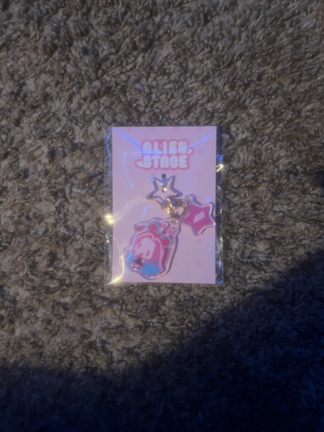 Customer photo review of Alien Stage Rabbit Series Acrylic Key Chain