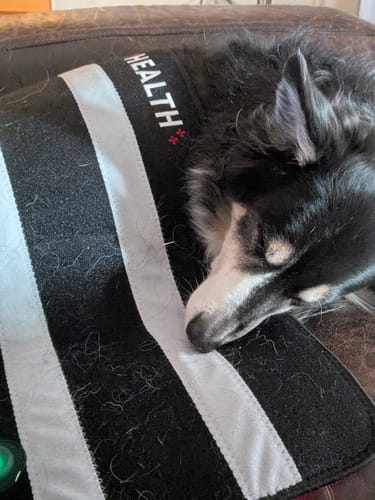 Customer photo review of LumyHealth Red Light Therapy Pad