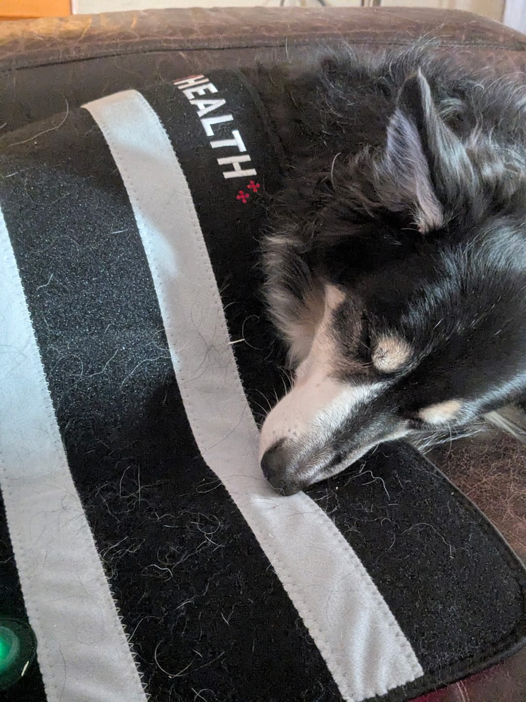 Customer photo review of LumyHealth Red Light Therapy Pad