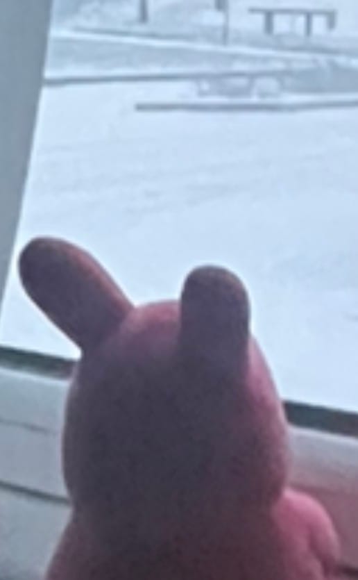 Customer photo review of Rain World - Hunter Slugpup Plush