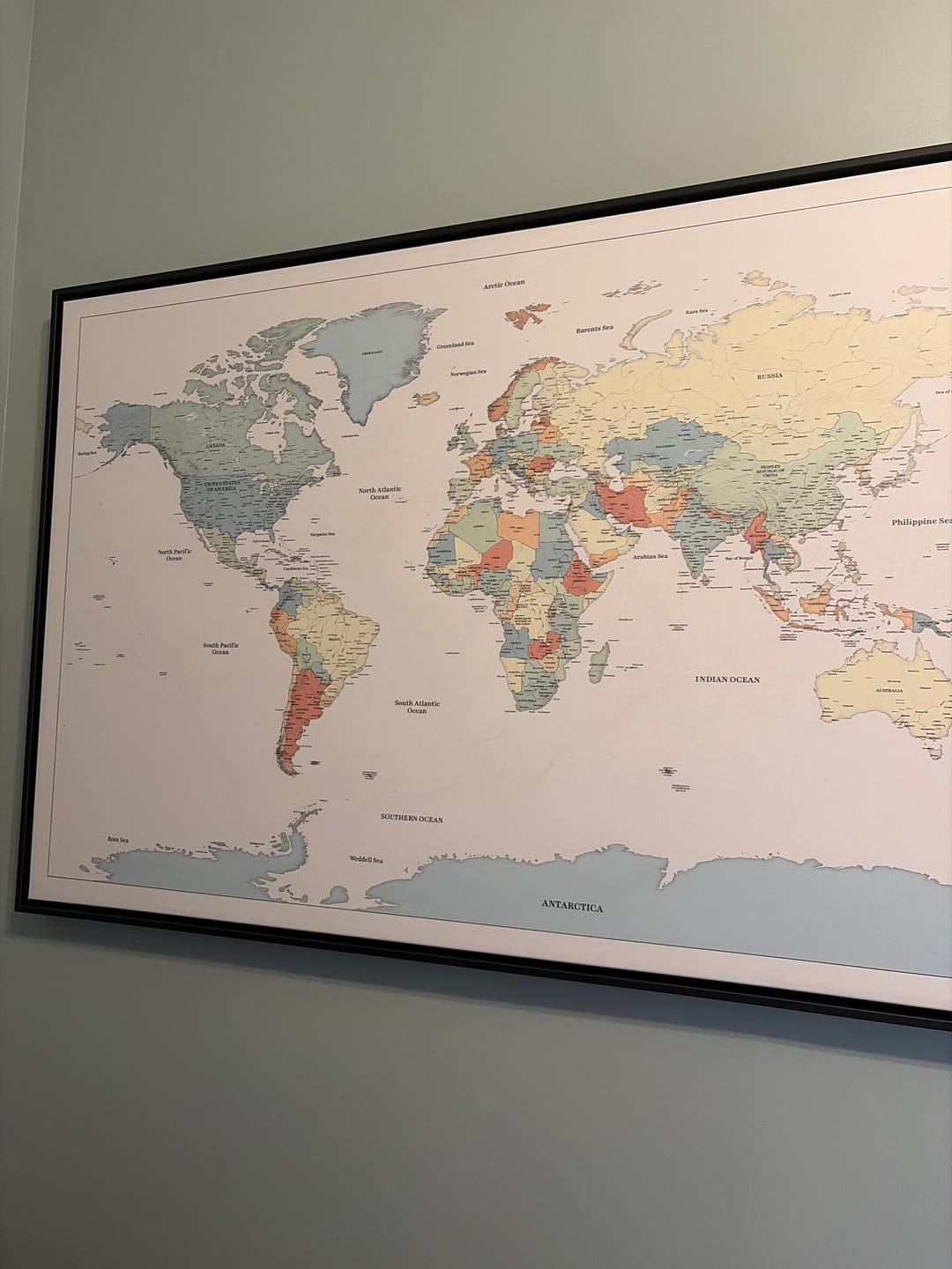Customer photo review of Smart Pin World Map - Safari