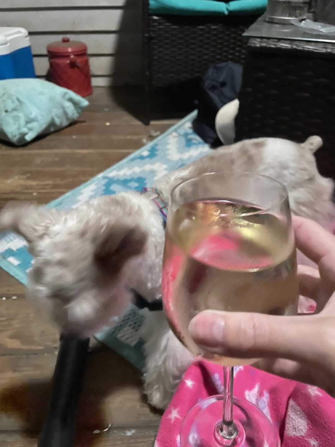 Customer photo review of YOURS Non-Alcoholic Wine California Chardonnay