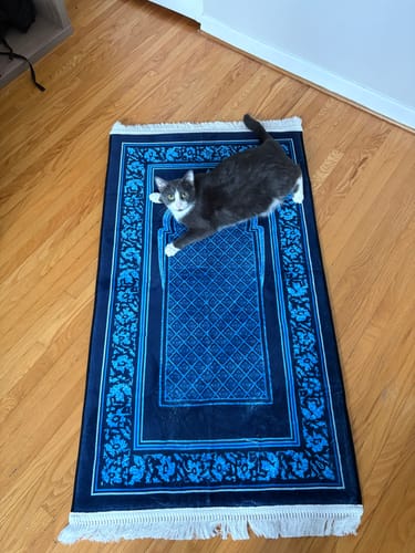 Customer photo review of Mihrab Blue Padded Prayer Mat