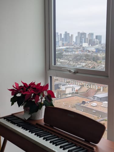 Customer photo review of Shipping Protection