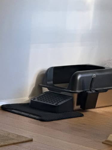 Customer photo review of 3 Month Supply - 1 Cat