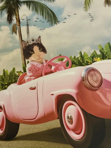 Customer photo review of The Toy Princess – Custom Pet Canvas
