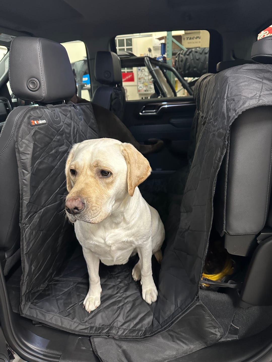 Customer photo review of Floor Hammock for Crew Cab Trucks - Driver Side