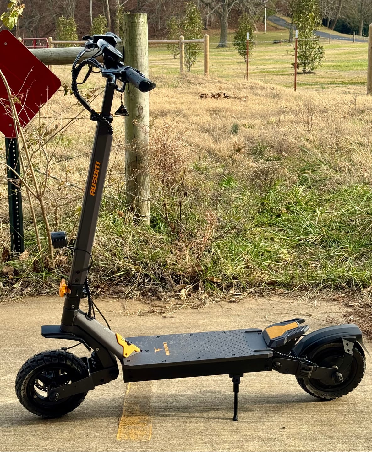Customer photo review of Ausom L1 Electric Scooter