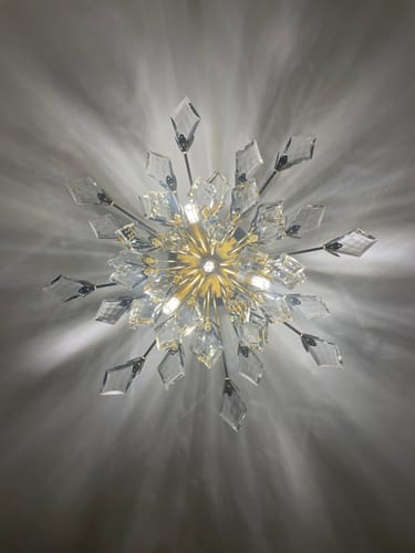 Customer photo review of 4-Light Bloom Crystal Leaf Semi Flush Mount Light