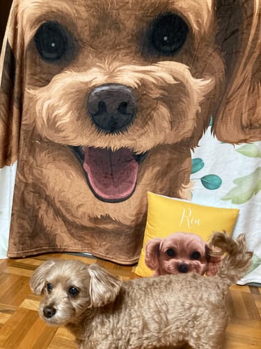 Customer photo review of オーダーメイド クッション