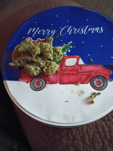 Customer photo review of Cheap THCA Flower Half Pound