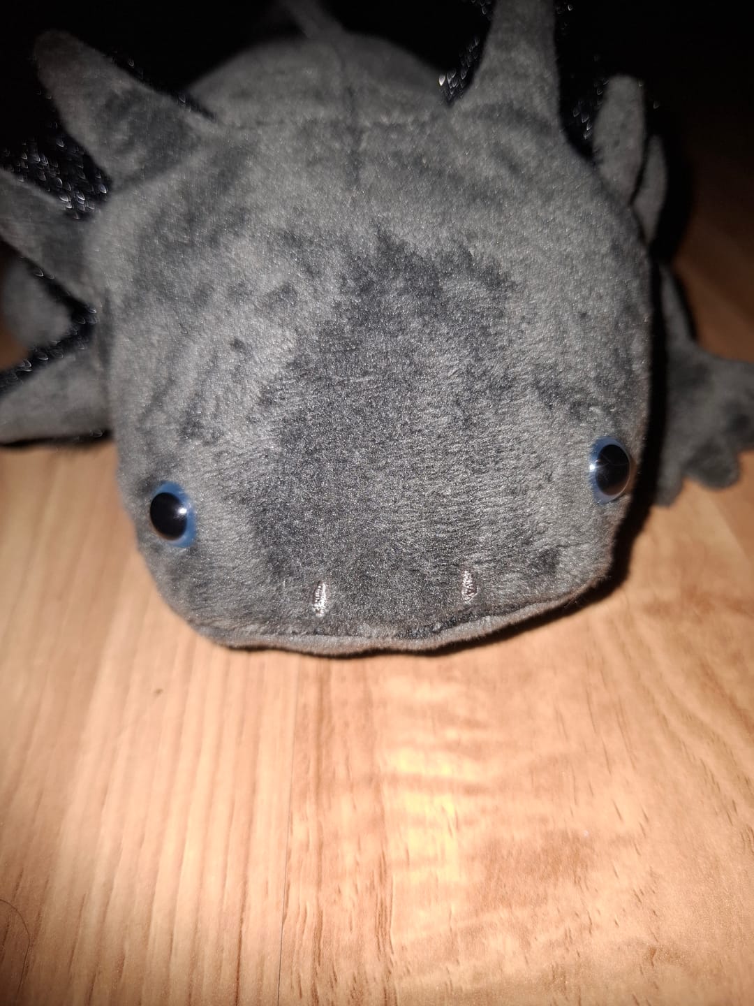 Customer photo review of Black Axolotl Soft Stuffed Plush Toy