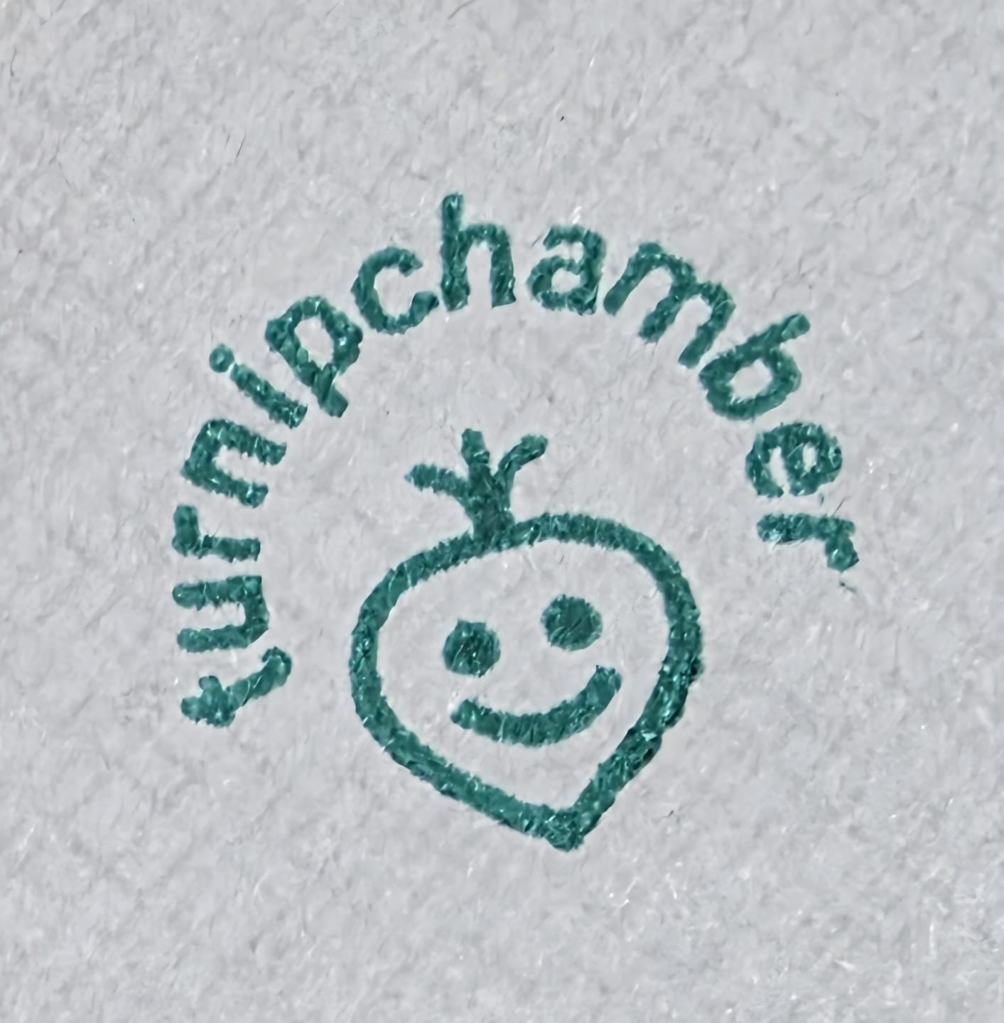 Customer photo review of Rubber Stamp﹘ Self-Inking Stamp﹘US