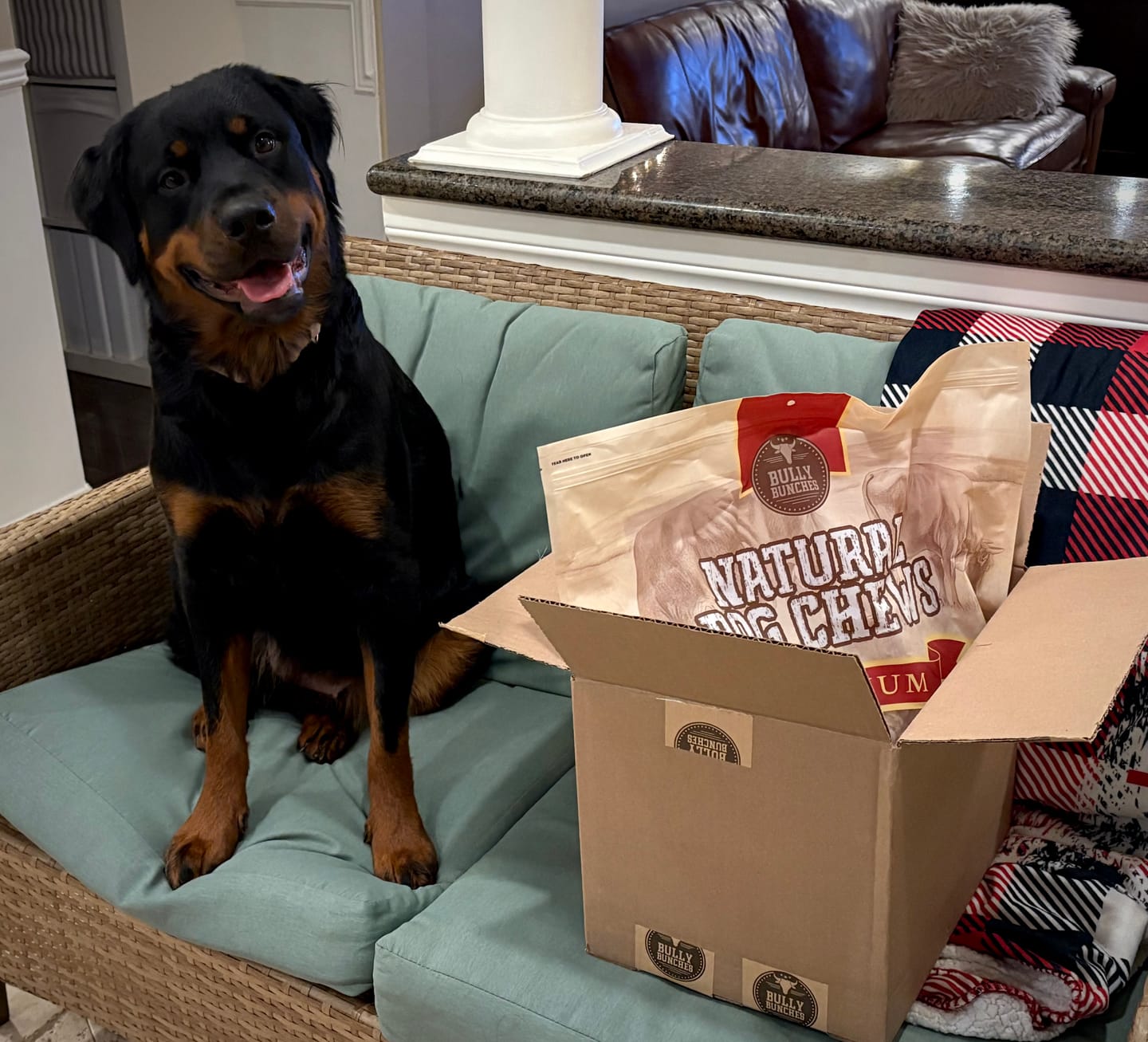 Customer photo review of 6 Inch Beef Trachea
