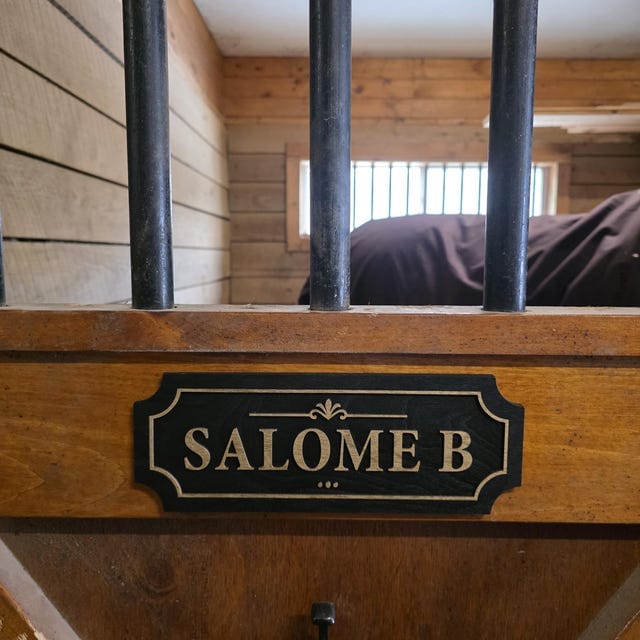 Customer photo review of Personalized Horse Stall Name Plate – Gold on Black Layered Wood Sign (Single Name)
