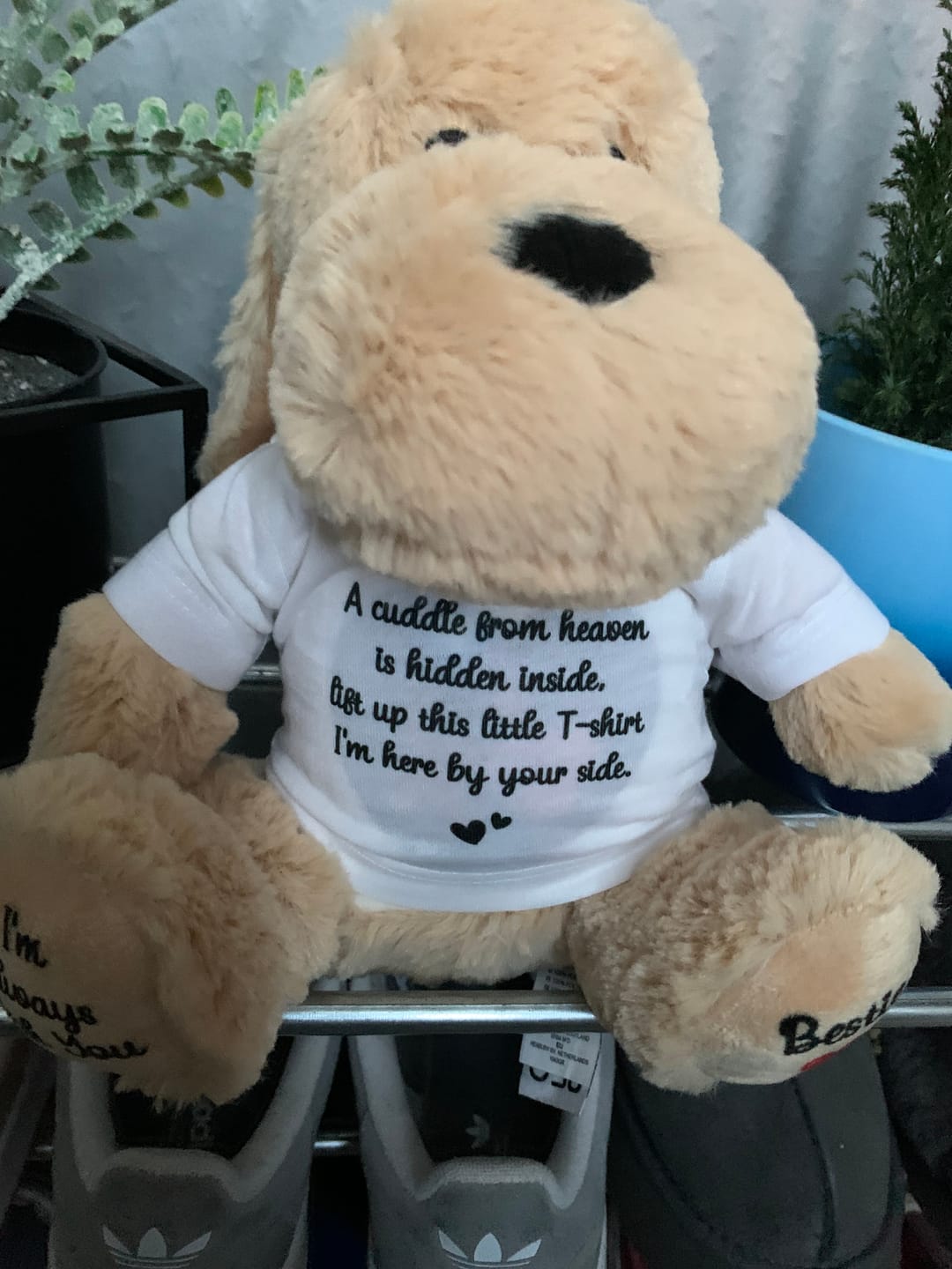 Customer photo review of Hidden Photo Surprise T-Shirt for 'Cuddle From Heaven' Teddy -  (T-SHIRT FITS ALL TEDDIES)