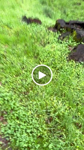 Customer video review of Scorpion 9” Comp Toe Men’s Waterproof Work Boot - Black