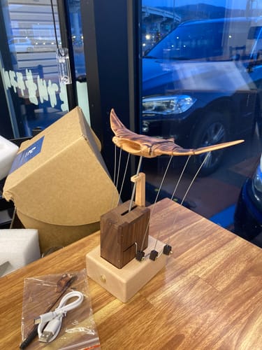 Customer photo review of MarinerPoet™ Handcrafted Wooden Manta Ray Automaton