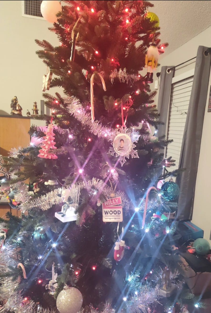 Customer photo review of Hillywood Ornament