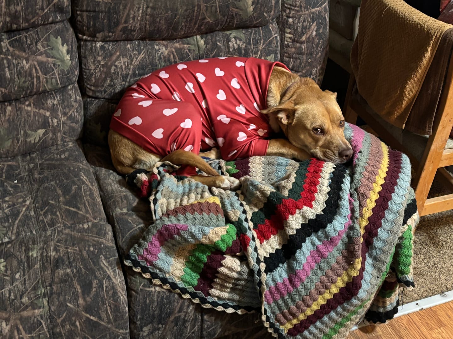 Customer photo review of Dog Pajama - Red Hearts