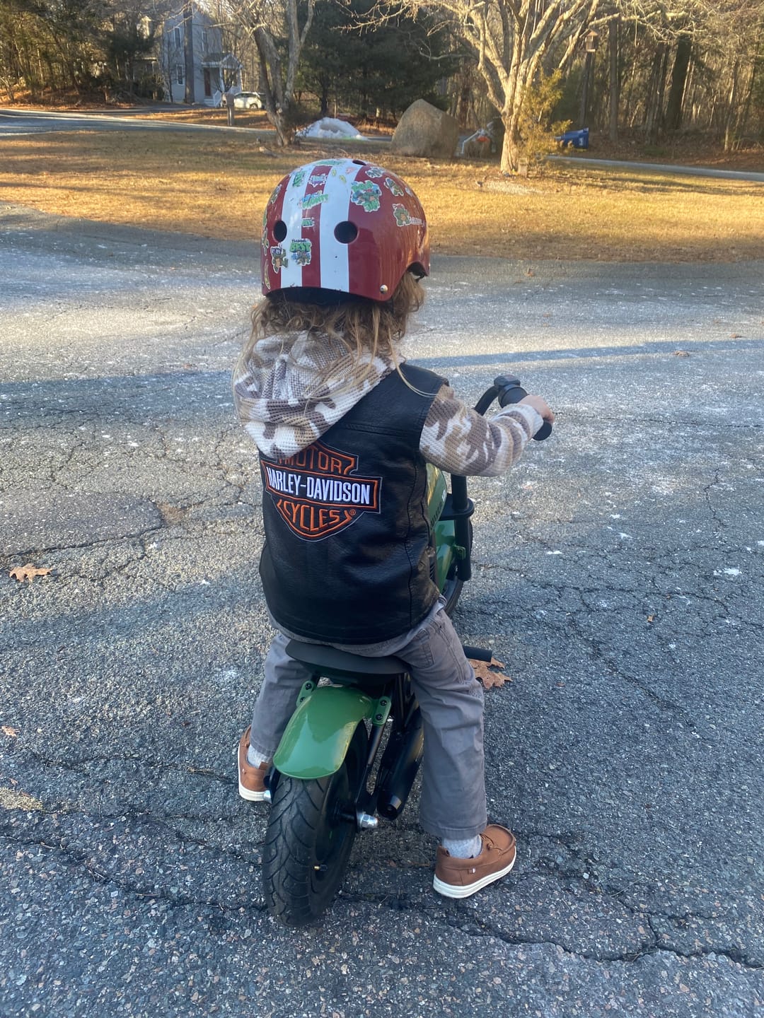 Customer photo review of Cruiser 12 Plus