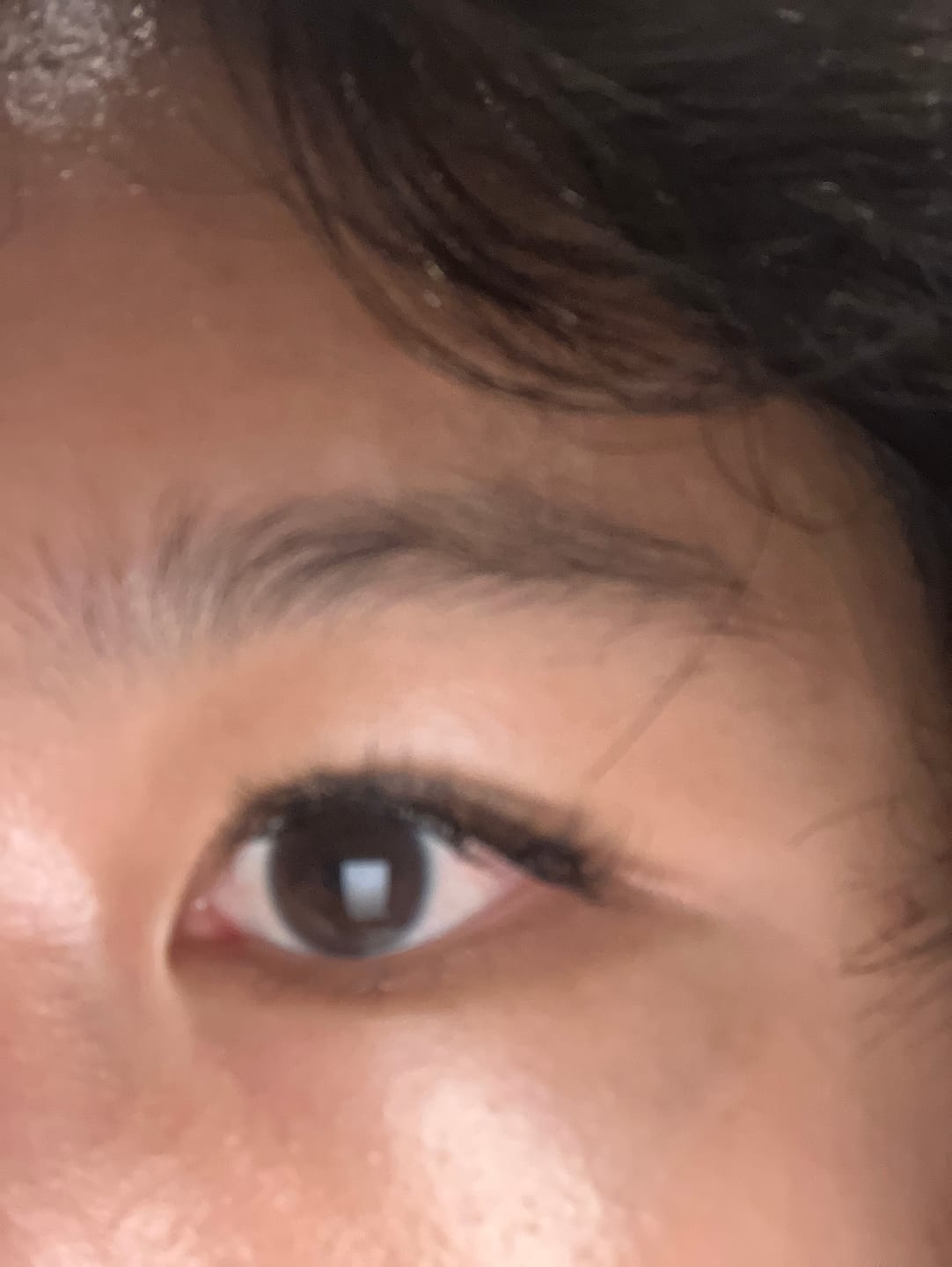 Customer photo review of Everyday Light Glow (Clear Band) Lazy Lashes  (Press-On Lash Clusters)