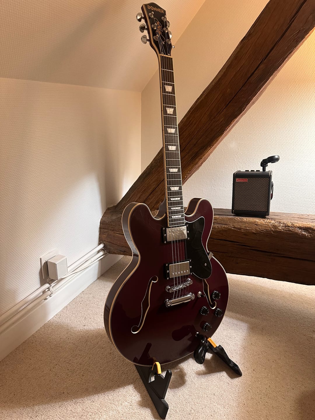 Customer photo review of Donner DJP-1000 Guitare Jazz Demi-Caisse
