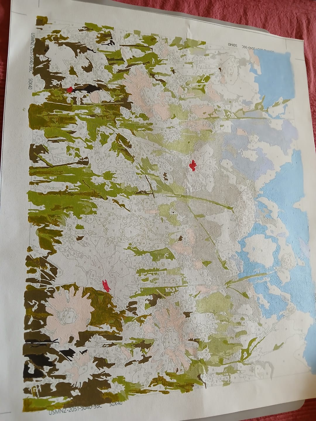 Customer photo review of Wildflowers - Paint by Numbers