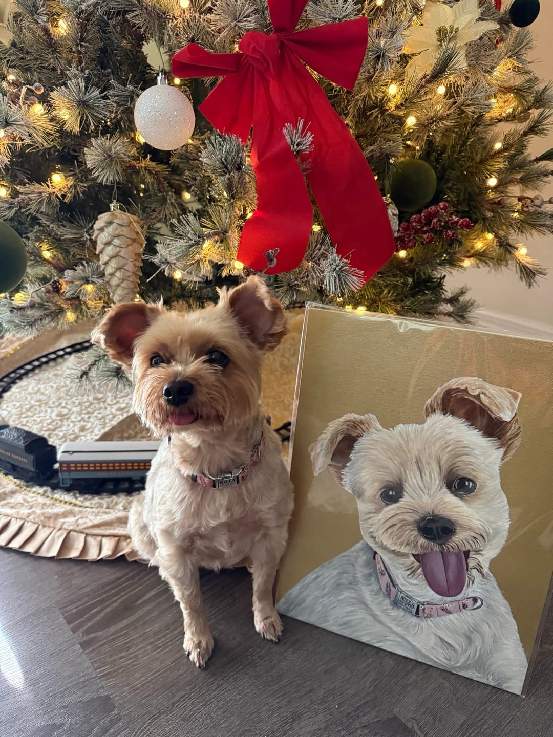 Customer photo review of Custom Pet Painting