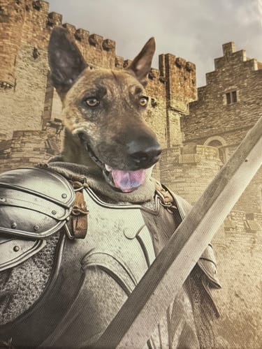 Customer photo review of Sir Lancelot – Custom Pet Canvas