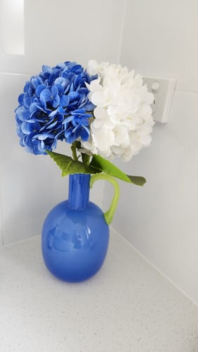 Customer photo review of Bluebird Jug