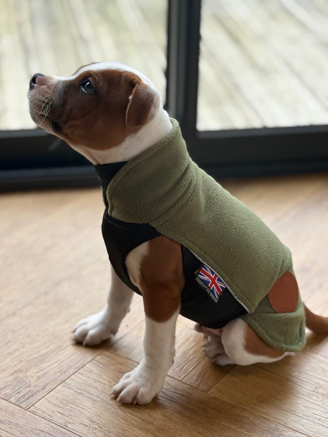 Customer photo review of Staffordshire Bull Terrier 1935® Puppy Fleece Coat - Green