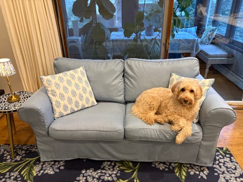 Customer photo review of Ektorp Loveseat Cover, 2 Seat Sofa Cover